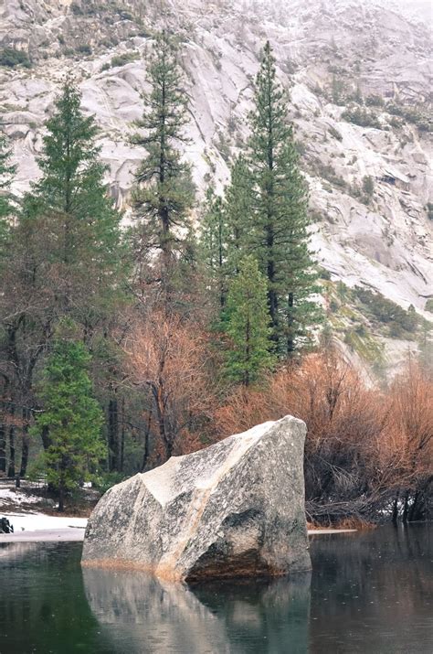 winter in yosemite national park -life on pine