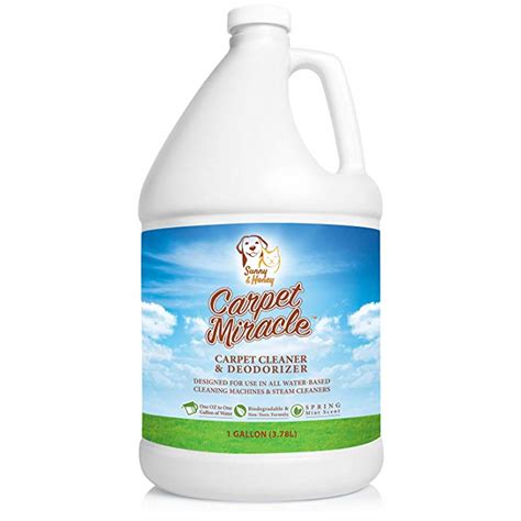 9 Best Carpet Shampoos - (Reviews & Buying Guide 2022)