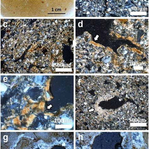 Representative Micromorphological Features Of The Soils In Pedons 16 25