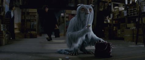 Demiguise - Fantastic Beasts | LoreCraft