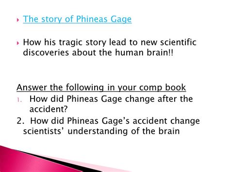 The Story Of Phineas Gage The Story Of Phineas Gage How His Tragic