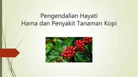 Pengendalian Hayati Pada Tanaman Perkebunan Kopi Ppt