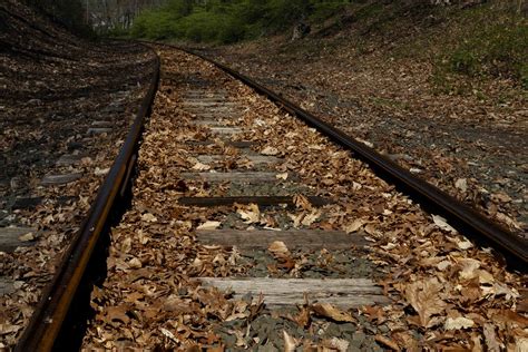 Tracks Ryan Dobson Flickr