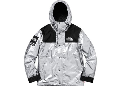 Supreme The North Face Metallic Mountain Parka Silver