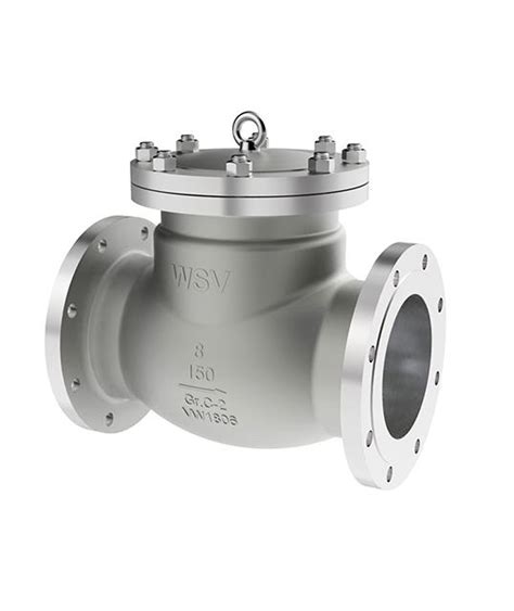 Premium Check Valves Piston And Swing Kv Controls High Quality Solutions