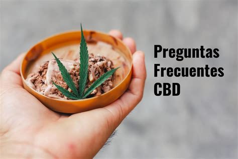 Preguntas Cbd Que Es