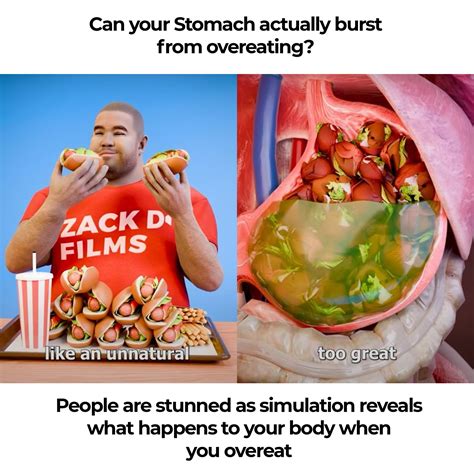 Break - “Am I hungry?” Stomach: No Brain: Yes | Facebook