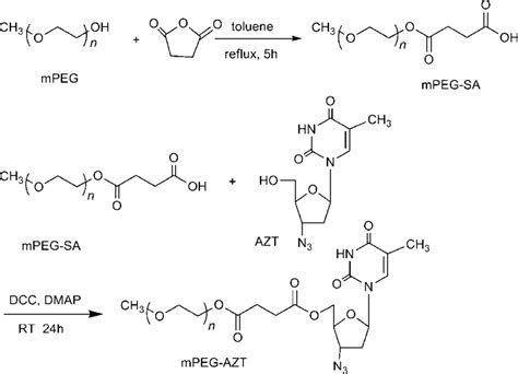 Synthesis Route Of Pegylated Conjugates Of Azt Download Scientific