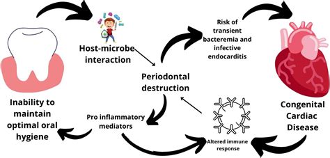 Frontiers Congenital Heart Diseases And Periodontal Diseases—is There