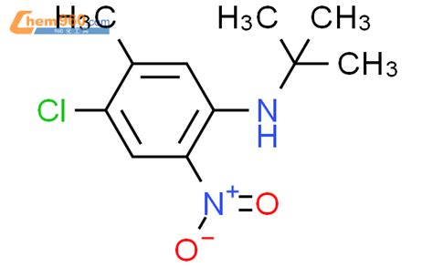 N Tert Butyl Chloro Methyl Nitroanilinecas