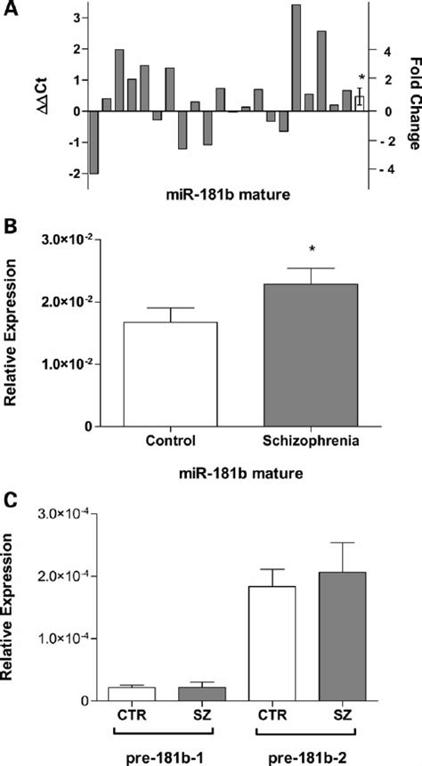 Expression Analysis Of Mature And Precursor 181b Molecules By