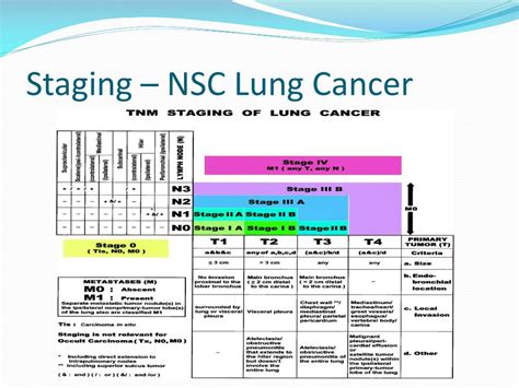 Ppt Lung Cancer Powerpoint Presentation Free Download Id6992112