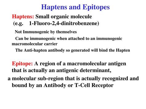 PPT Antigen Structure And Immunogenicity PowerPoint Presentation