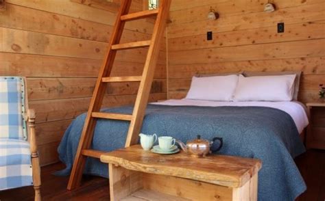 Tiny Log Cabin In New Zealand