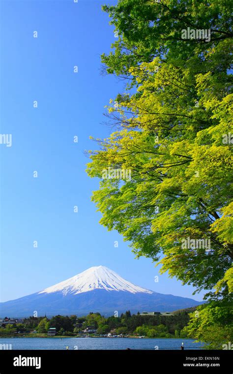 Yamanashi Prefecture, Japan Stock Photo - Alamy