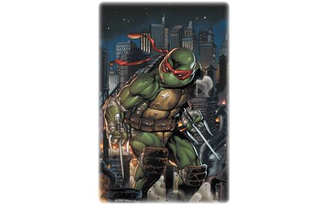 Guide Ninja Turtle Names And Colors For Tmnt Superfans My Pet S Name