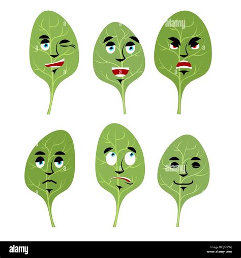 Emotions Spinach Set Expressions Avatar Greens Lettuce Leaf Good And