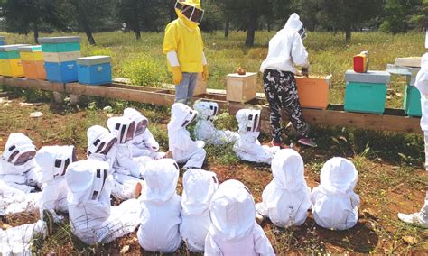 Apicoltura Calabrese La Regione La Riconosce Come Attivit Di