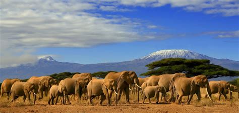 Red Dust Safaris Amboseli National Park