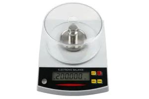 Electronic Precision Weight Balance G Mg China Scale And Balance