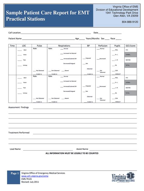 Patient Care Report Template Word Fill Out Sign Online DocHub