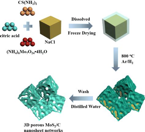 Schematic Illustration Of The Formation Process Of D Porous Mos C