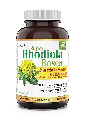 Herba Rhodiola Rosea Supplement 200mg 90 Capsules 6 1 Extract