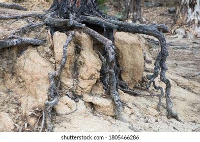 Soil Erosion Strategies Images Stock Photos Vectors Shutterstock