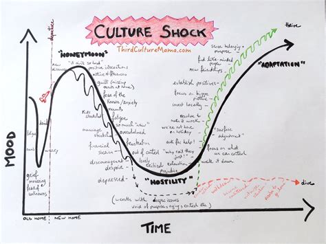 Surprised by Culture Shock! | Third Culture Mama