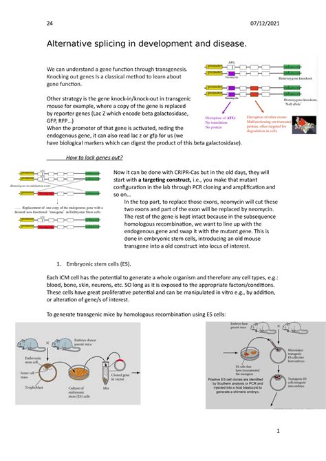 Alternative Splicing In Development And Disease We Can Understand A