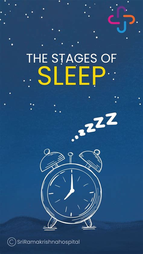 Stages Of Sleep Cycle Stages Of Sleep Healthcare Infographics Sleep