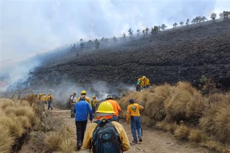 Reporta México 84 Incendios Forestales Activos