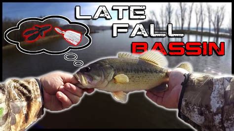 Late Fall Bass Fishing 2020 Mississippi River YouTube