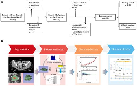 Frontiers Ct Based Radiomics Signature A Potential Biomarker For Predicting Postoperative