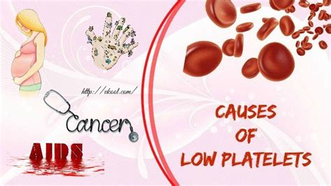 Platelet Facts Low Platelets Platelets Low Platelet Count - Riset