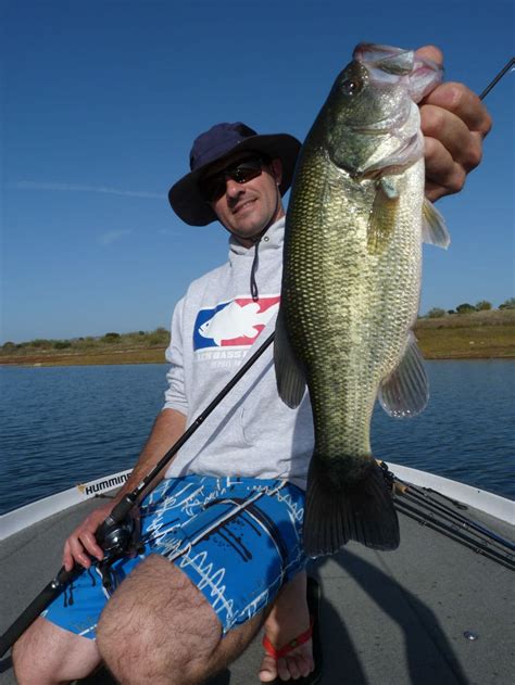 Pourquoi pêcher le black bass en France