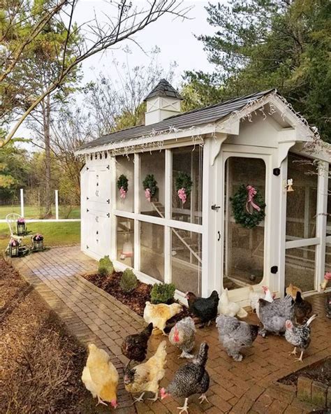 37 Stylish DIY Chicken Coop Ideas For Your Backyard – OBSiGeN