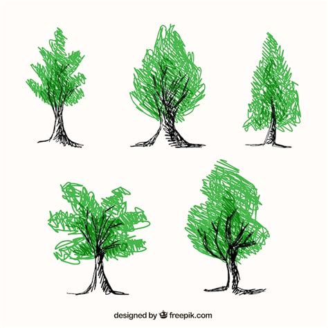Imágenes De Arboles Mano Descarga Gratuita En Freepik