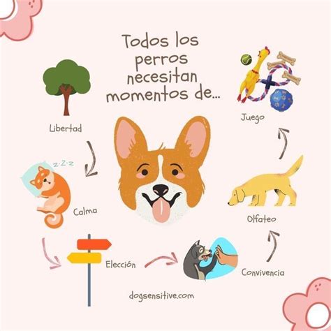 Diario De Mi Perro En A4 Pdf Para Imprimir Artofit