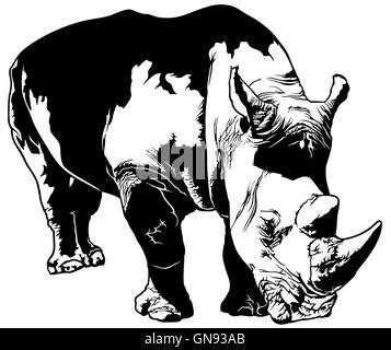 Umrisse Einer Afrikanischen Nashorn Stock Vektorgrafik Alamy