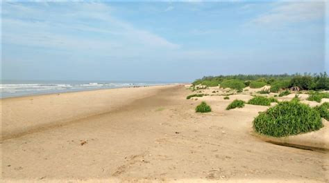 Tajpur Beach Purba Medinipur Tourist Attractions Images