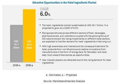 Halal Ingredient Market Share Size Trends 2025