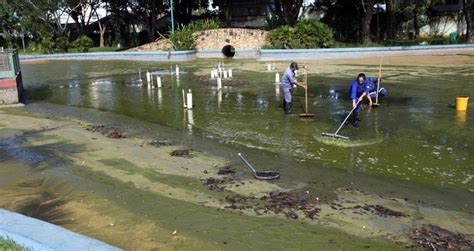 Limpeza De Lago Parque Santos Dumont Prefeitura De São José Dos Campos