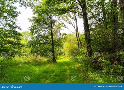 While Hiking a Wonderful View of Nature Stock Image - Image of ...