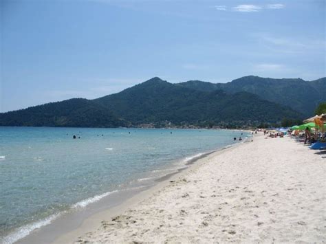 Tasos - miroslavmicic.in.rs