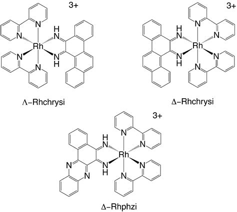 Dna Mismatch Specific Targeting And Hypersensitivity Of Mismatch Repair