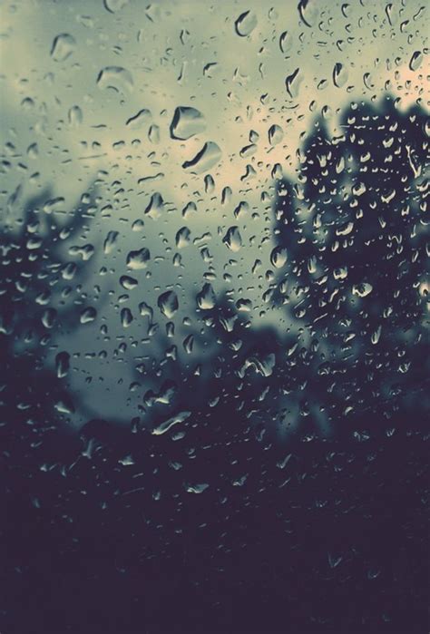 Wallpaper, Rain, Window, Nature, Photogrphy | Paisagens, Chuva, Aleatória