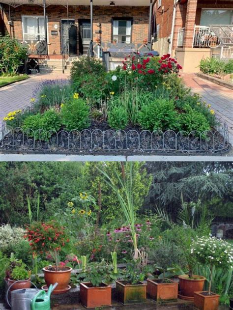 10 Inspiring Ideas For Creating A Stunning Perennial Garden