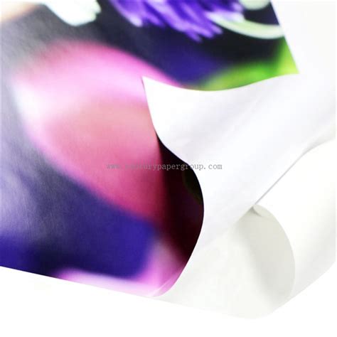 Pvc Vinyl Printable Self Adhesive Vinyl Rolls Digital Printing Media