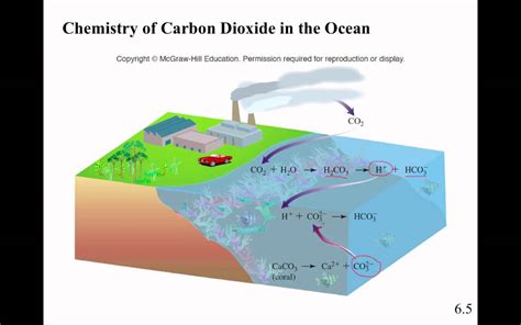 Sea Water Carbonate Youtube